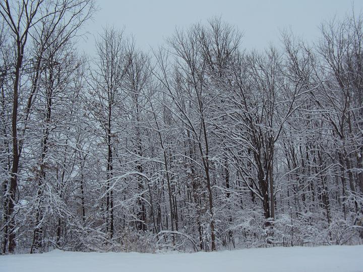 2010 020.jpg